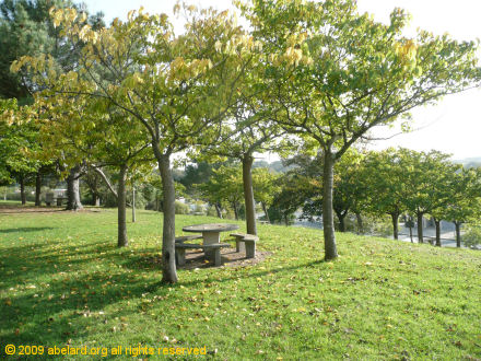 Picnic area on the hill summit at Bidart aire