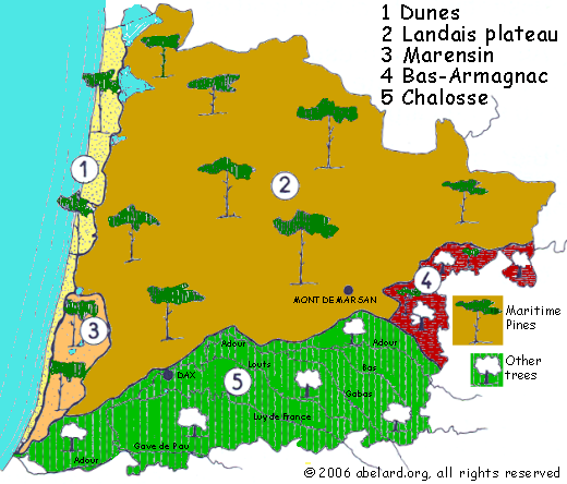 Distributions of trees in Les Landes.