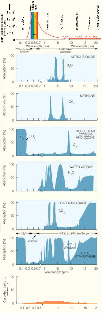 Radiation on Earth, with isotope components