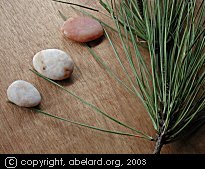 pine needle pair - thumbnail