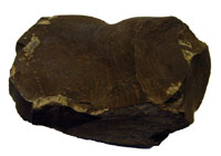 A lump of oil shale. Image credit: ostseis.anl.gov