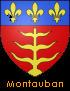 Montauban coat of arms