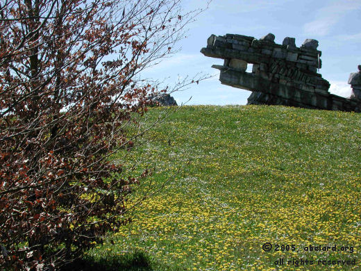 The climbing stones with a Spring carpet of dandelions