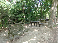 Picnic table and bench in the shade by Renneville aire.