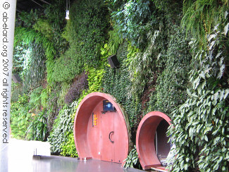 The living wall in l'astralia building