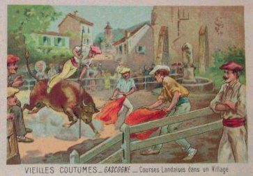 Course Landaise, from the beginning of the 20th century.