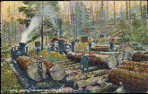 Postcard with an unusual divided back showing logging in Vancouver, Canada. Postmarked 1908. Printed in Germany.