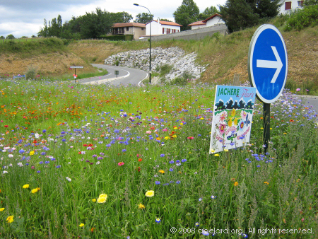 Basque homes, from a roundabout planted with wild flowers
