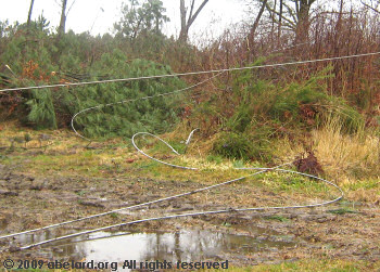 Cables downed by a country road.