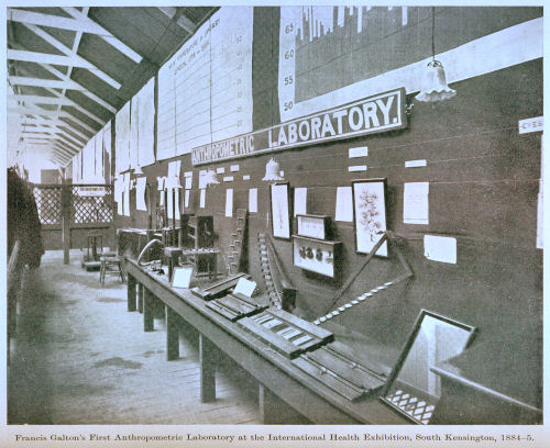 Francis Galton's first anthrometric laboratory at the International Health Exhibition, South Kensington, 1884