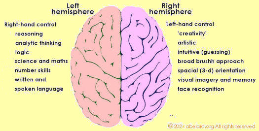 two hemispheres of the brain - simplified diagram, with behavioural attributes