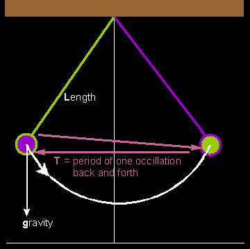 The variables for a simple pendulum