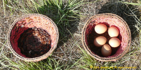An empty basket, and a basket with some eggs.